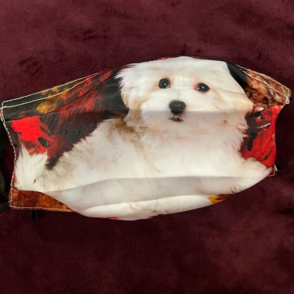6/$20 New Maltese face mask